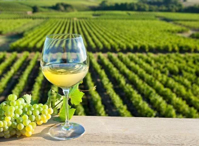 Villa Dépendance chaleureuse dans le vignoble nantais La Haie-Fouassiere Esterno foto
